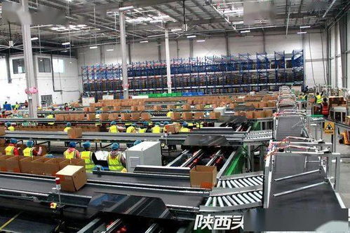 西安聯(lián)手阿里破解農(nóng)產(chǎn)品倉儲(chǔ)物流難題，西北最大數(shù)字農(nóng)業(yè)倉配體系正式啟用